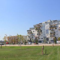 Seestadt 05